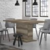 Mesa de Salón-Comedor Extensible Est