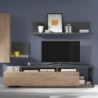 Mueble TV Bota