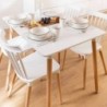 Mesa de Comedor Fija Rectangular Eames