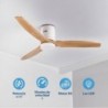 Ventilador de Techo Skywind-52