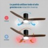 Ventilador de Techo Skywind-52