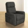 Sillón Relax Power Lift Carlin
