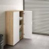 Mueble Auxiliar 2 Puertas c/ Estantes Office Blanco Ártico/Roble Canadian
