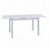 Mesa de Comedor Extensible Bisbe (110/170x70x75cm)