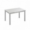 Mesa de Comedor Extensible Bisbe (110/170x70x75cm)